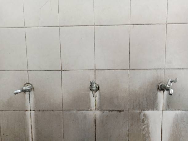 Best Local water damage restoration  in Ville Ptte, LA