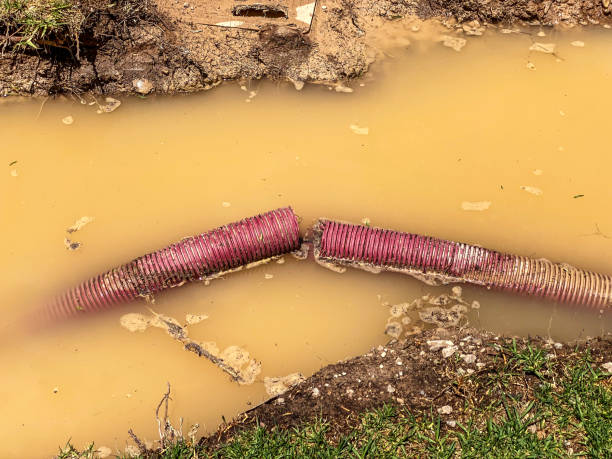 Best Water damage contractors near me  in Ville Ptte, LA