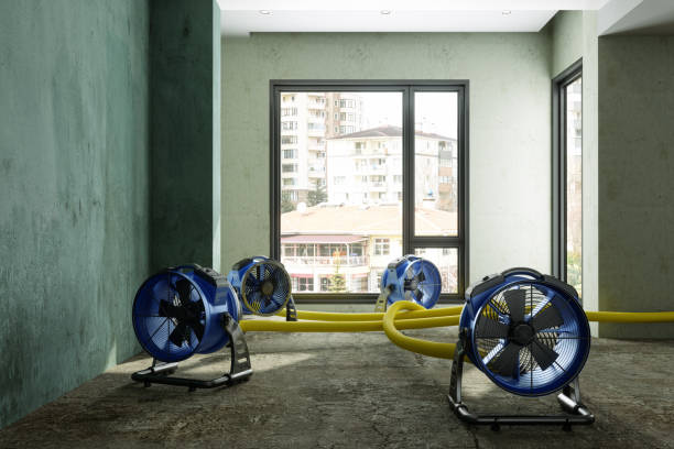 Best Water damage restoration experts  in Ville Ptte, LA